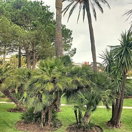 Terrasse Vue Mer, Proche Plages, Piscine 258l Tvlv